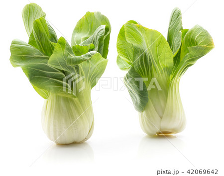 Fresh Bok choy isolated on white 42069642
