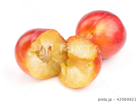 Fresh Red Plum isolated on white 42069921