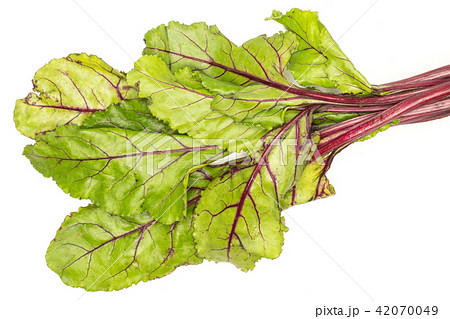 Fresh raw red beetroot isolated on white 42070049