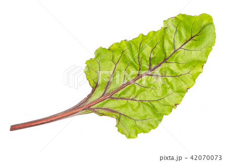 Fresh raw red beetroot isolated on white 42070073