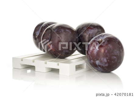 Red Blue Plums isolated on white Red Blue Plums isolated on white 42070181