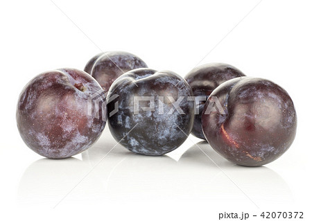 Red Blue Plums isolated on white Red Blue Plums isolated on white 42070372