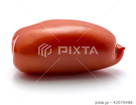 Fresh san marzano tomato isolated on white Fresh san marzano tomato isolated on white 42070486