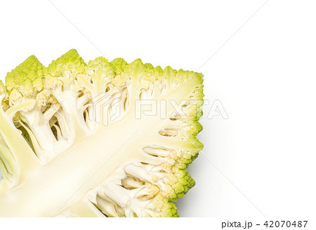 Fresh green romanesco cauliflower isolated white Fresh green romanesco cauliflower isolated white 42070487