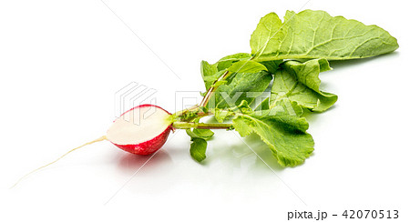 Fresh red radish isolated on white 42070513
