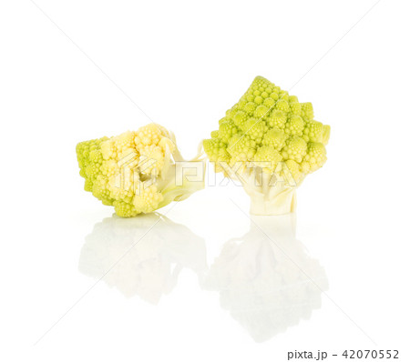 Fresh green romanesco cauliflower isolated white Fresh green romanesco cauliflower isolated white 42070552