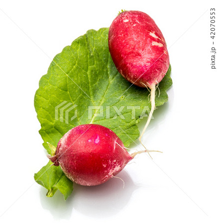 Fresh red radish isolated on white Fresh red radish isolated on white 42070553