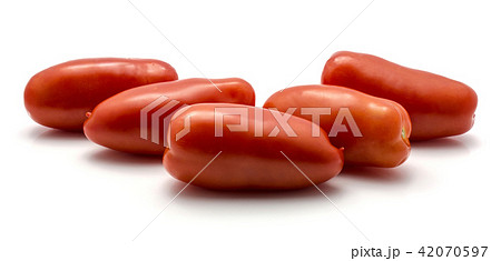 Fresh san marzano tomato isolated on white Fresh san marzano tomato isolated on white 42070597