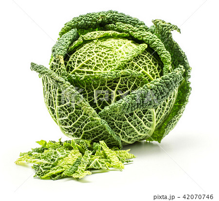 Fresh Savoy Cabbage isolated on white Fresh Savoy Cabbage isolated on white 42070746