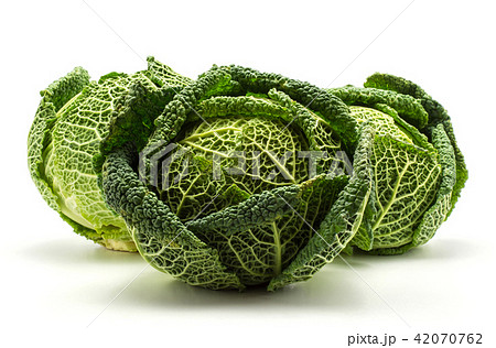 Fresh Savoy Cabbage isolated on white 42070762