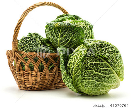 Fresh Savoy Cabbage isolated on white 42070764