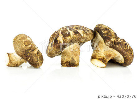 Fresh raw shitake mushroom isolated on white 42070776