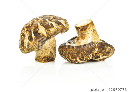 Fresh raw shitake mushroom isolated on white 42070778