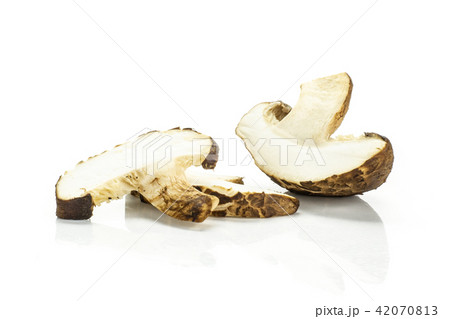 Fresh raw shitake mushroom isolated on white 42070813