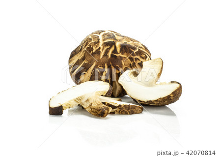 Fresh raw shitake mushroom isolated on white 42070814