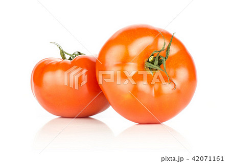 Fresh raw Tomato (La Parcela) on black wood Fresh raw Tomato (La Parcela) on black wood 42071161