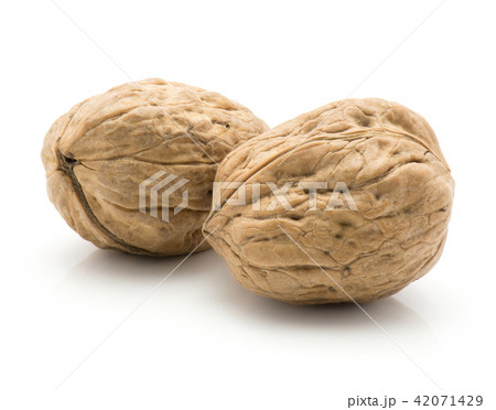 Raw walnut isolated on white Raw walnut isolated on white 42071429
