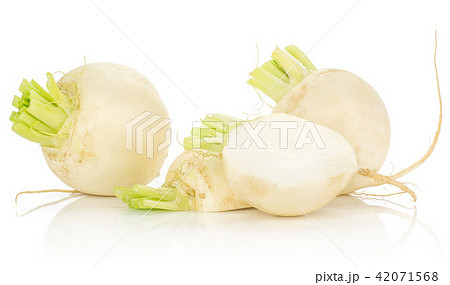 Fresh white radish isolated on white Fresh white radish isolated on white 42071568