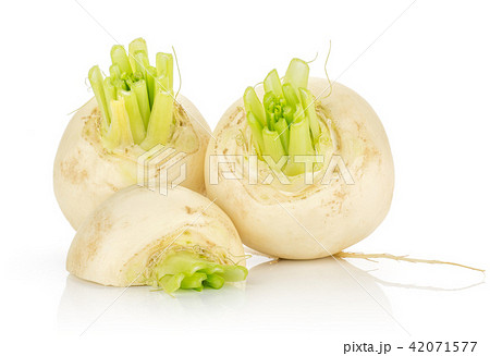 Fresh white radish isolated on white 42071577