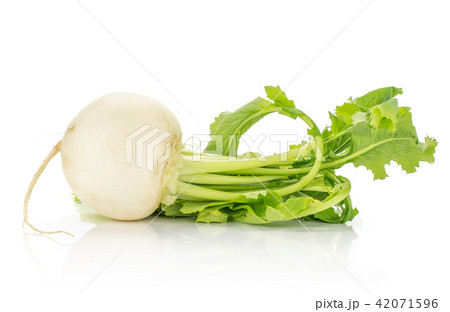 Fresh white radish isolated on white Fresh white radish isolated on white 42071596
