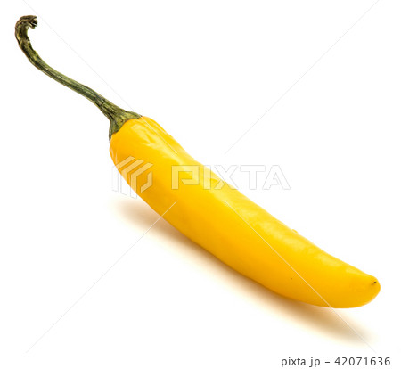 Fresh yellow chili pepper isolated Fresh yellow chili pepper isolated 42071636