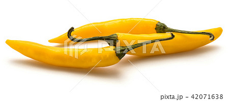 Fresh yellow chili pepper isolated 42071638