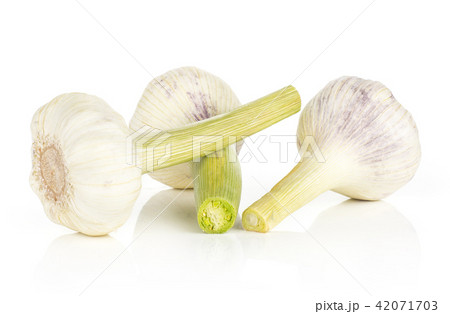 Fresh young garlic isolated on white 42071703