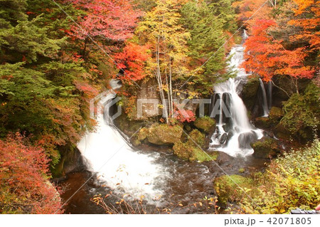 深まる秋、色鮮やかな紅葉に染まる奥日光中善寺湖畔の龍頭の滝 42071805