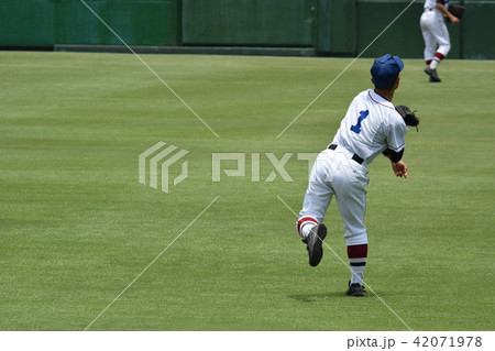 キャッチボール 遠投 42071978