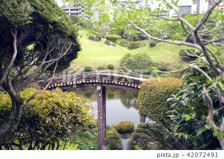 緑な風景 42072491