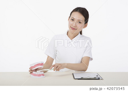 歯の模型に歯ブラシを当てながら微笑む白衣を着た女性 42073545