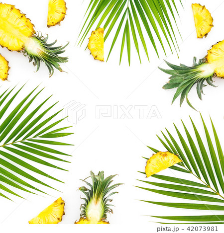 Frame of sliced pineapple fruits and palm leaves Frame of sliced pineapple fruits and palm leaves 42073981