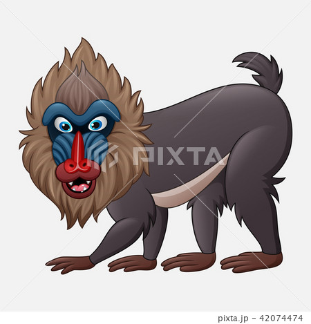 Cartoon Mandrill Baboon Isolated On White Backgrouのイラスト素材