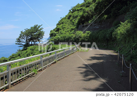 日本の道100選 天険親不知線 日本の道100選 天険親不知線 42075120