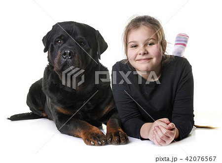 young girl and dog young girl and dog 42076567