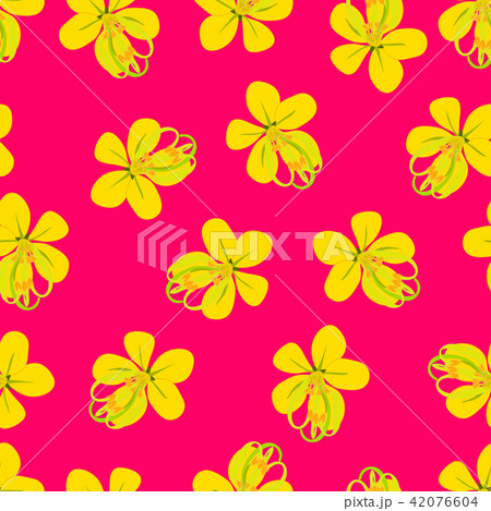 Cassia Fistula - Golden Shower on Pink Background 42076604