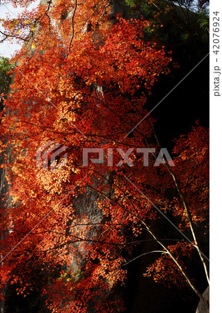 京都笠置山紅葉の頃の写真素材