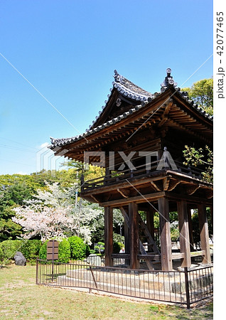 野間大坊 野間大坊 42077465