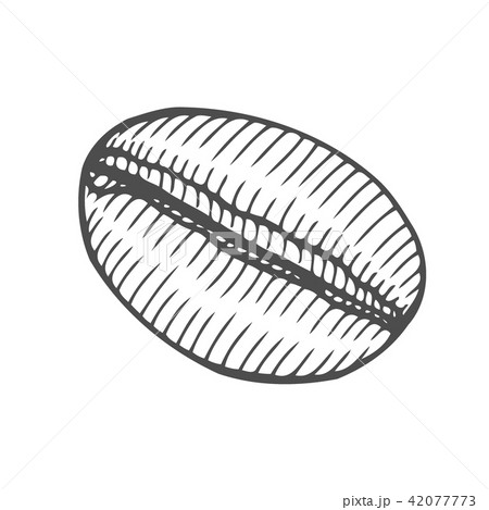 Vintage coffee bean 42077773