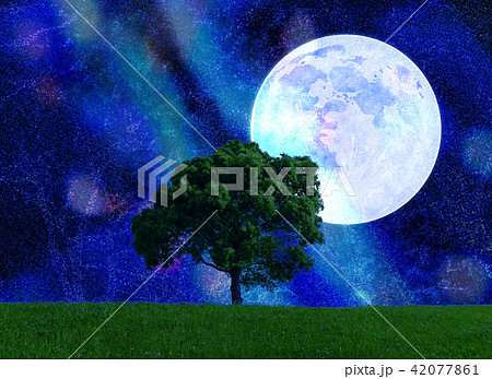 幻想的な月と天の川と草原と木 キラキラ夏の星空イメージのイラスト素材