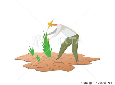 Drought and farming. Farmer growing plants on dry soil. Flat vector illustration. Isolated on white 42078194