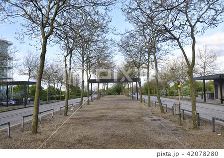 イギリスのニュータウン:ミルトン・キーンズの街並み イギリスのニュータウン:ミルトン・キーンズの街並み 42078280