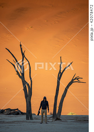 Male photographer standing in Deadvlei, Namibia 42078472