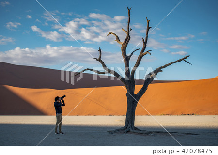 Male photographer standing in Deadvlei, Namibia 42078475