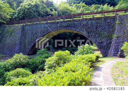 めがね橋のアジサイ めがね橋のアジサイ 42081185