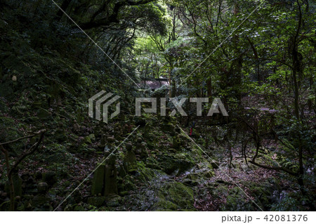 本吉山 清水寺  五百羅漢 42081376