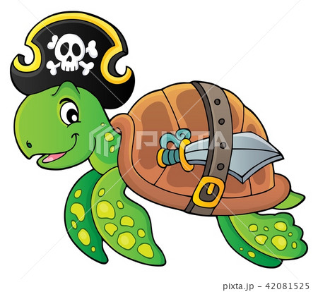 Pirate turtle theme image 1 42081525