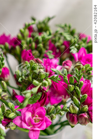 bright pink freesia flowers in glass vase on wooden table. Beautiful summer bouquet. Arrangement bright pink freesia flowers in glass vase on wooden table. Beautiful summer bouquet. Arrangement 42082164