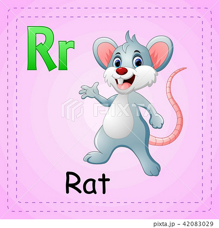 Animals alphabet: R is for Rat - Stock Illustration [42083029] - PIXTA