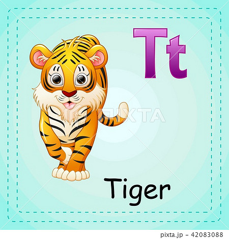 Animals alphabet: T is for Tiger 42083088